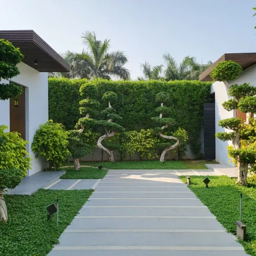 landscaping in kerala hard landscaping